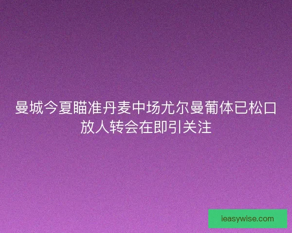 曼城今夏瞄准丹麦中场尤尔曼葡体已松口放人转会在即引关注